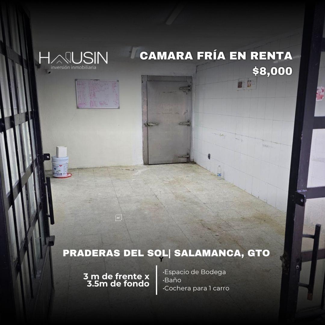 Cámara Fria en Renta, Praderas del Sol. Salamanca, Gto.