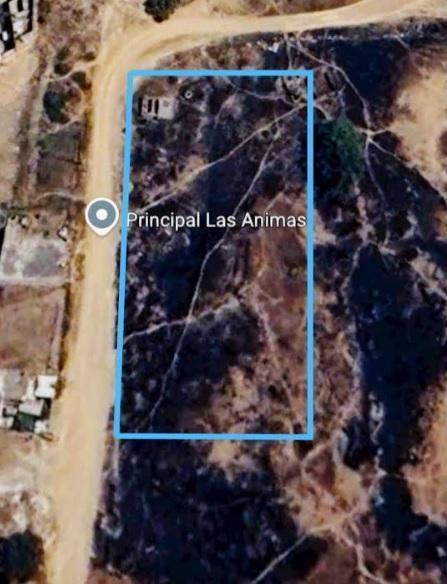 Terreno en Venta - (4)