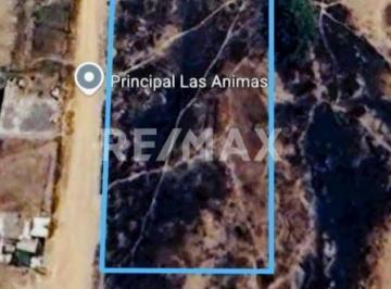 Terreno / Lote · 4000m² · Terreno en Venta - (4)