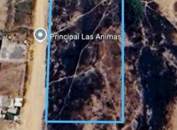 Terreno / Lote · 4000m² · Terreno en Venta - (4)