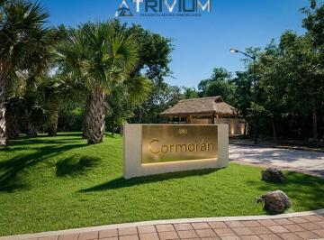 Vive tu mejor inversión $3,800,000. Terreno en venta en Ciudad Mayakoba, con 335 · Terreno. Venta. Mayakoba. Playa del Carmen. Quintana Roo.