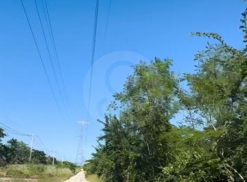 IMG_2348.jpg · Terreno Comercial en Venta en Pueblo San Antonio Chel