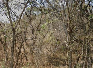 MAGNIFICO TERRENO LIGERAMENTE ASENDENTE CERCA DE LA IGLESIA CON MAGNIFICA VISTA, · Terreno Residencial en Venta en Las Cañadas
