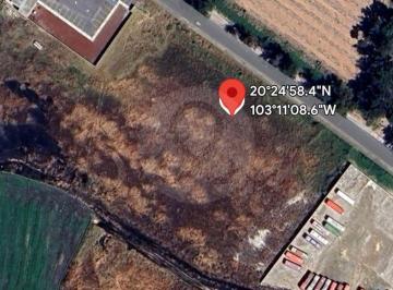 Terreno comercial 10000m² venta Rancho o rancheria El Rodeo · Terreno Comercial en Venta en Rancho o Rancheria El Rodeo