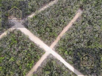 Terreno / Lote · 359m² · En Venta Lote Residencial en Tulum con Calle de Acceso y Delimitación de Lotes