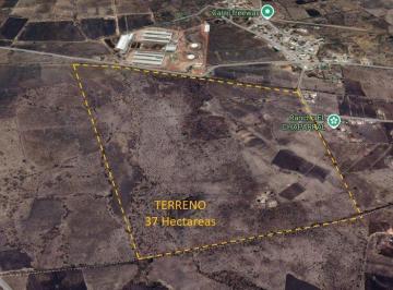 Terreno / Lote · 300000m² · Terreno en Venta, Ex Hacienda La Purísima, Tlacote El Alto, Querétaro