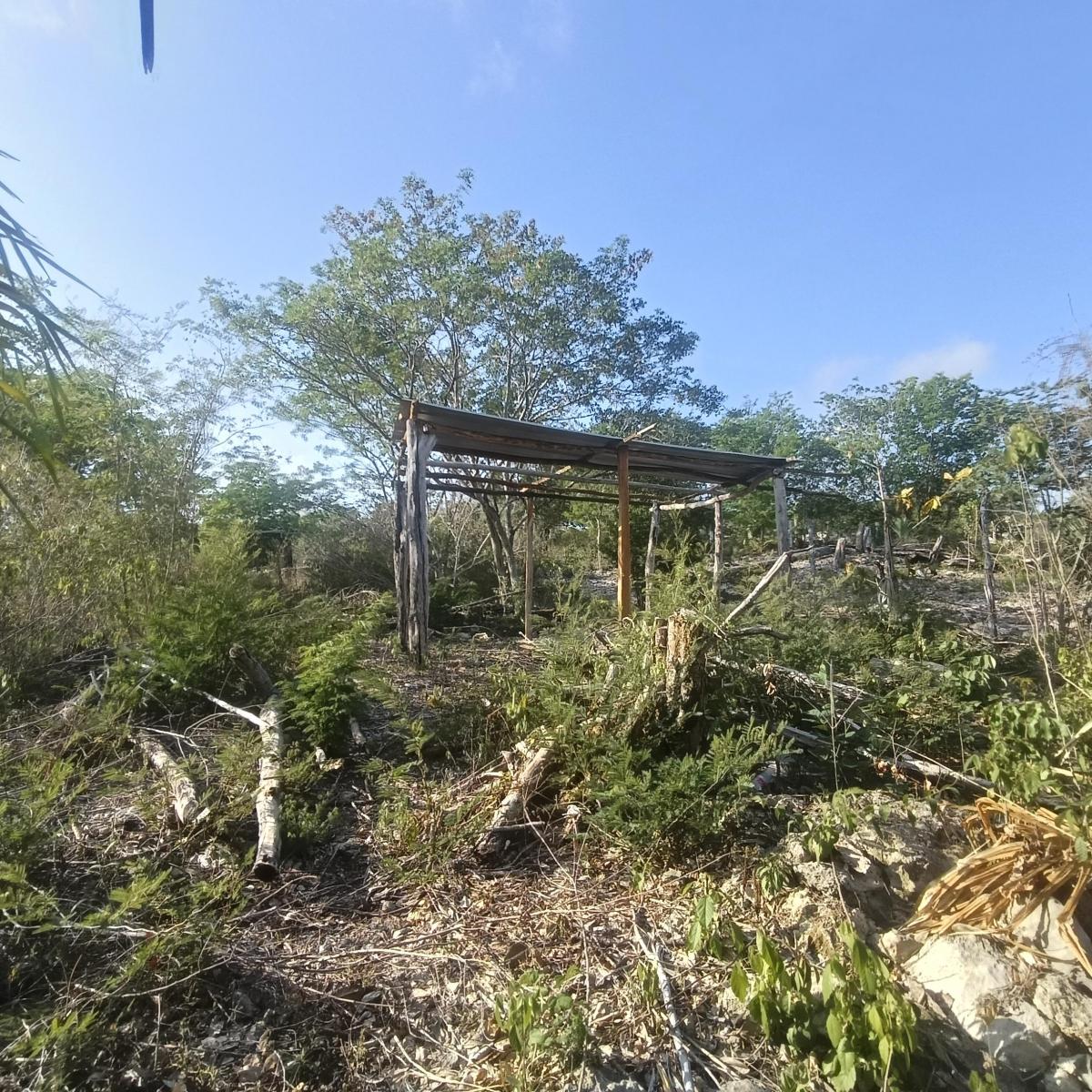 Vendo Terreno 20 por 40 m Cuadrados