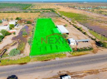 Foto principal · Terreno en Venta Sobre Carretera Hillo - Kino