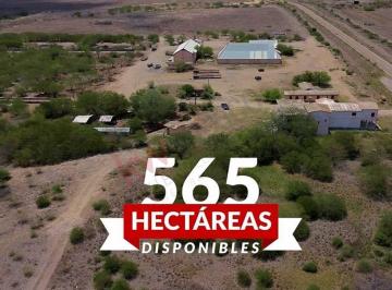 N/A · Rancho en Venta – El Ruidoso 565 Hectáreas de Producción y Potencial