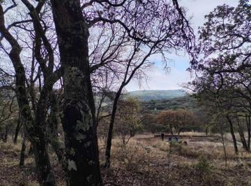 Terreno / Lote , San Felipe · Terreno en Venta en Sierra de Vergel, San Felipe, Gto.