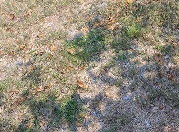 Terreno / Lote , Alvarado · Venta de Terreno en Carretera Cordoba Finca El Encanto