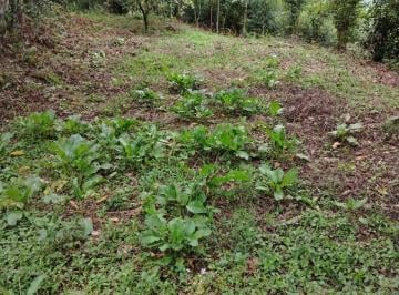 Terreno / Lote , Xicotepec · Terreno en San Agustin