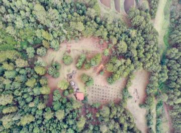 Terreno / Lote , Valle de Bravo · Terreno en Venta en Venta Saucos
