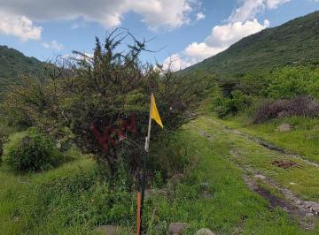 N/A · Propiedad en Venta - Lagunita, San Miguel de Allende, Gto, México