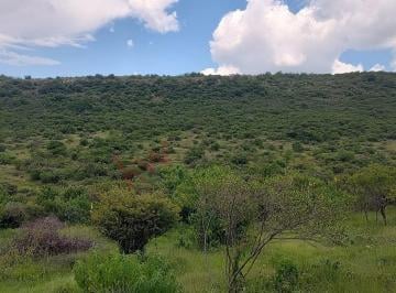 N/A · Propiedad en Venta - Lagunita, San Miguel de Allende, Gto, México