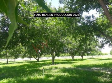 N/A · Se Vende Rancho Nogalero. cuenta con Concesion de Agua