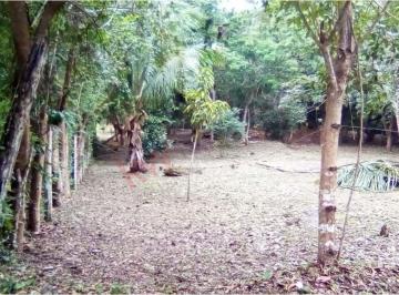 N/A · Terreno de Uso Mixto en Venta - Bacalar