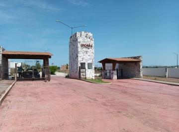 Terreno / Lote · 200m² · Terreno en Venta Alicanta - (4)