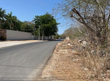 Terreno / Lote , Mérida · Último Lote en Cholul, merida, Yucatán, ideal Para Construir Residencia Apartalo Hoy