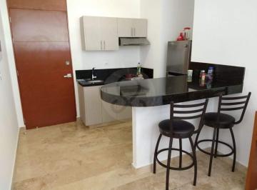 Departamento · 65m² · 1 Recámara · 1 Estacionamiento · Departamento en Venta en San Ramon Norte