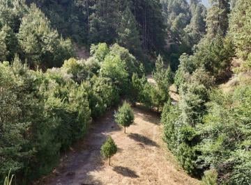 Terreno / Lote , Valle de Bravo · Terreno en Venta en Saucos Valle de Bravo