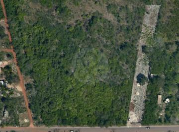 Terreno / Lote · 14253m² · Terreno Residencial en Venta en Pueblo Dzununcan