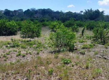 Rancho · 340000m² · 1 Recámara · Finca en Venta en Chetumal Centro