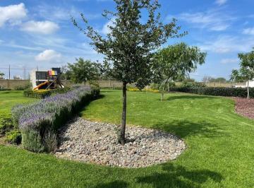 Terreno / Lote , León · Terreno en Venta en Mayorca Residencial Palma Mediterranea