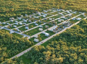 Terreno / Lote , Tulum · Terrenos en Venta en Tulum