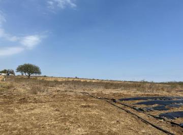 Terreno / Lote , Hualahuises · Terreno Plano en Venta en Hualahuises Nuevo Leon