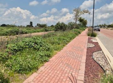 Terreno / Lote , Corregidora · Terreno de Uso Mixto en Venta | Entrada de Ciudad Maderas Corregidora | 958.12 m²