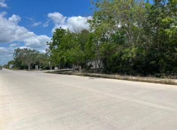 Terreno / Lote · 706m² · Terreno Comercial en Paseos de La Selva