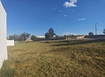 Terreno / Lote · 199m² · Terreno - Lomas 2