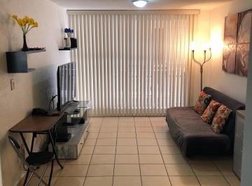 Departamento de 2 habitaciones, Miguel Hidalgo · Hermoso Departamento Renta Anahuac Miguel Hidalgo Amueblado 2 Recs