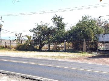 Terreno comercial , Xochitepec · Renta Local Comercial Amplio Terreno Plano de 4,000, m² Para Negocios Alpuyeca - Puente de Ixtla Km. 7