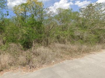 Terreno / Lote , Mérida · Terreno Ideal Para Desarrollar, en Temozón Norte.