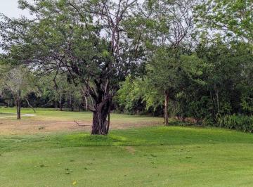 4b6cc71165aaedfe3d80a4d6db1fbd17ada168f26017f1b79a672a45d387666d · Terreno en Venta Dentro de Club de Golf La Ceiba