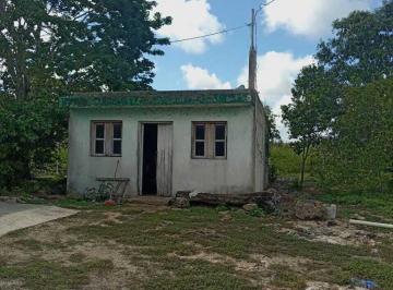 df64ae8b2c5a84ac61dc7ca6f71c99e8cee8778fa335b1f56c0ce52186e333e8 · Rancho a 1 Hora de Merida Yucatán Entre Buctzotz y Tizimín