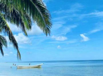 5c1ac65c5ba365aafb10c9eb9f71f2aa4c4aa059ad07771f961ec7d7101bb629 · Terrenos en Venta a Pocos m de La Playa.