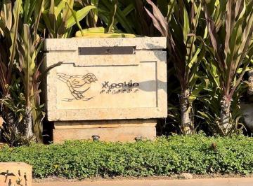 18c2c1c3abc71ad7529243f13f1d05927f3c65770b0afa7abdd65430c7a22ed0 · Se Vende Espectacular Terreno en Xpokin, Yucatán Country Club