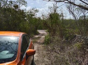 de9be3e782326787e2b5545cb93b41663a4ebc9d626145996548645ec9097d00 · 41 Ha Cerca de Telchac Sobre Carretera con Luz Propiedad Privada