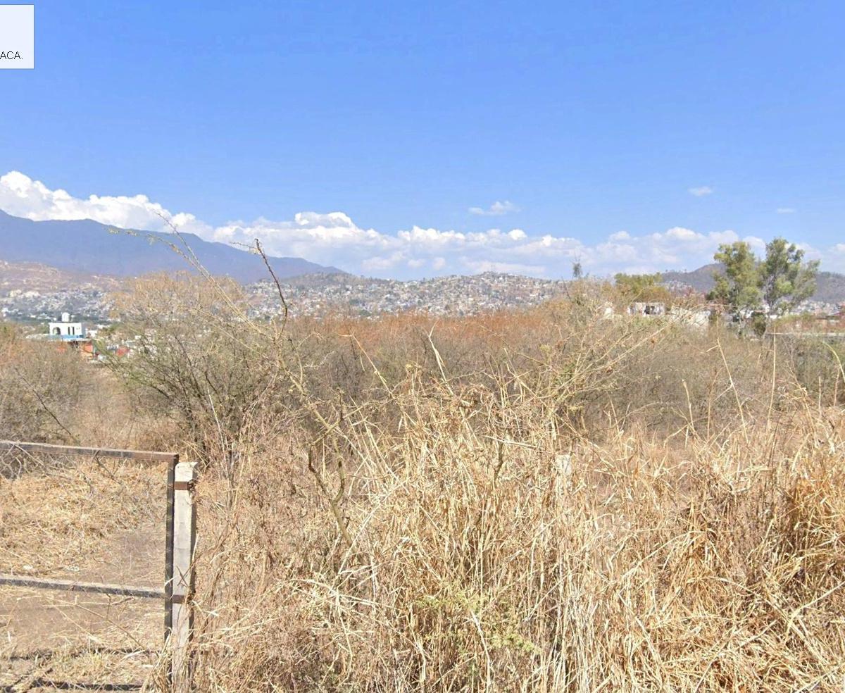 Lote en Renta