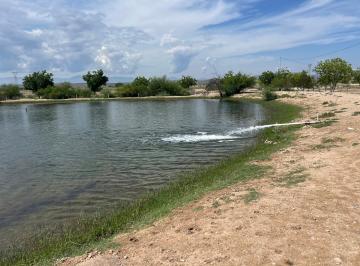 Rancho de 3 habitaciones, Saltillo · Rancho de Gran Extensión en Venta Sobre Carretera a Torreón