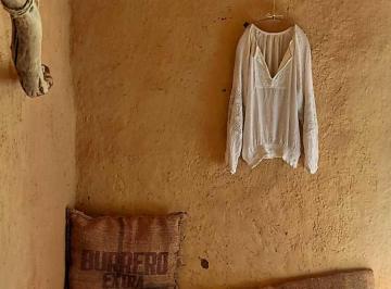 Casa de 1 habitación, San Cristóbal de las Casas · Casa en un Bosque de 40ha, Permacultura a 1 H de San Cristóbal