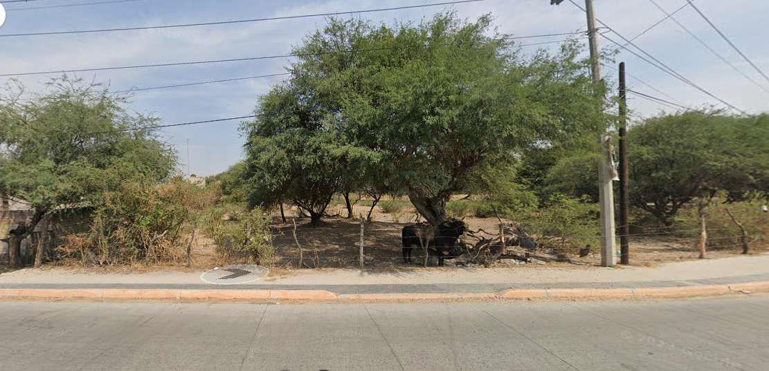 Land for Sale, 6,200 m&sup2;, in San Isidro Mazatepec, Tala, Jalisco