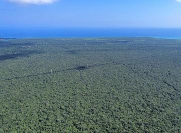 Terreno / Lote , Tulum · Terreno 1ha en Venta en Tulúm Parque Dos Ojos