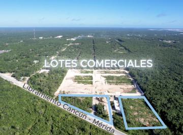 Terreno / Lote · 5590m² · Venta Terreno Sobre Carretera Cancún - Mérida Uso de Suelo Comercial
