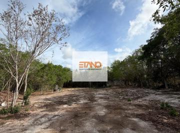 Terreno / Lote · 1500m² · Terreno - Alfredo V. Bonfil