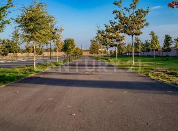 Terreno / Lote · 963m² · Se Vende Terreno en San Eduardo en Arteaga Coahuila