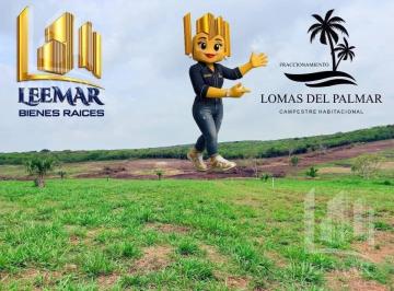 Terreno / Lote · 600m² · Terrenos Campestres en Venta en Tampico Alto, Ver. Desde $450,000